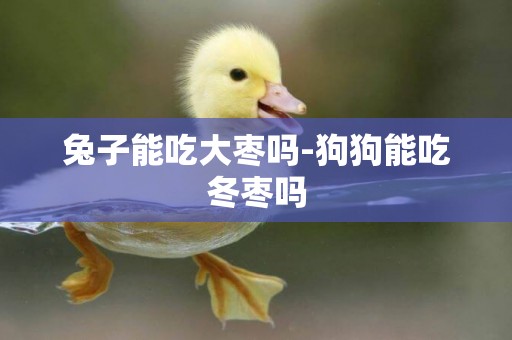 兔子能吃大棗嗎-狗狗能吃冬棗嗎