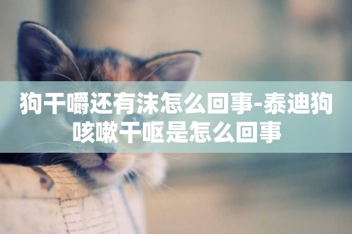 狗干嚼還有沫怎么回事-泰迪狗咳嗽干嘔是怎么回事