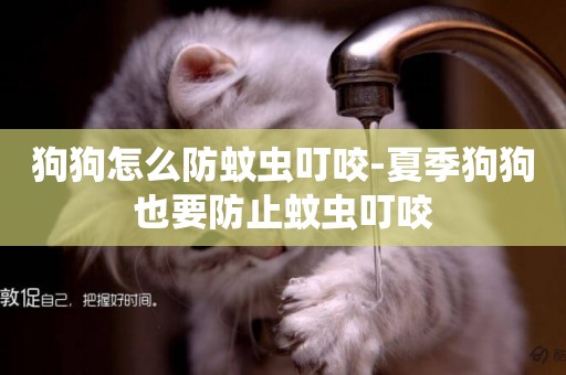 狗狗怎么防蚊蟲叮咬-夏季狗狗也要防止蚊蟲叮咬