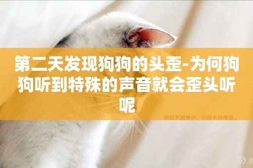 第二天發現狗狗的頭歪-為何狗狗聽到特殊的聲音就會歪頭聽呢