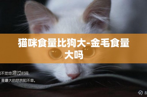 貓咪食量比狗大-金毛食量大嗎