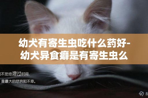 幼犬有寄生蟲吃什么藥好-幼犬異食癖是有寄生蟲么
