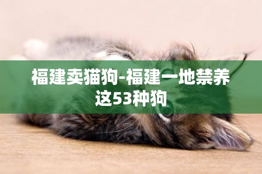 福建賣貓狗-福建一地禁養這53種狗