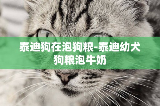 泰迪狗在泡狗糧-泰迪幼犬狗糧泡牛奶