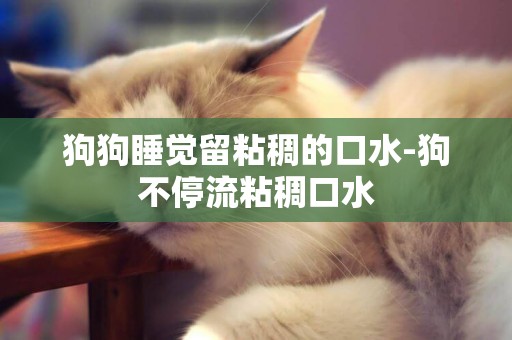 狗狗睡覺留粘稠的口水-狗不停流粘稠口水