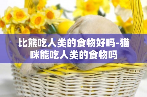 比熊吃人類的食物好嗎-貓咪能吃人類的食物嗎