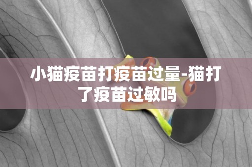 小貓疫苗打疫苗過量-貓打了疫苗過敏嗎