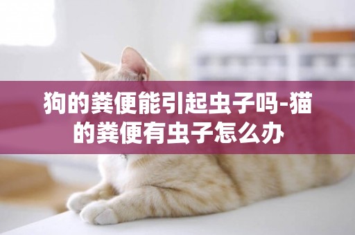狗的糞便能引起蟲子嗎-貓的糞便有蟲子怎么辦