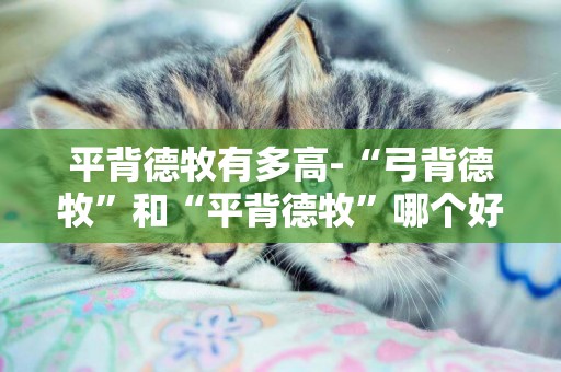 平背德牧有多高-“弓背德牧”和“平背德牧”哪個好