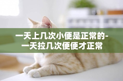 一天上幾次小便是正常的-一天拉幾次便便才正常