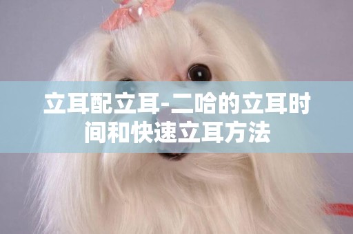 立耳配立耳-二哈的立耳時間和快速立耳方法