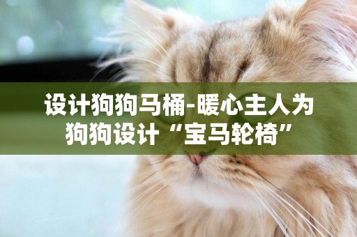 設計狗狗馬桶-暖心主人為狗狗設計“寶馬輪椅”