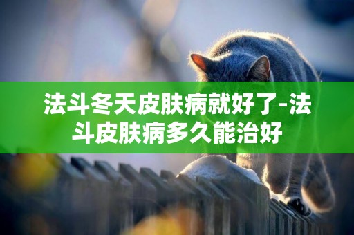 法斗冬天皮膚病就好了-法斗皮膚病多久能治好