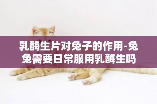 乳酶生片對兔子的作用-兔兔需要日常服用乳酶生嗎