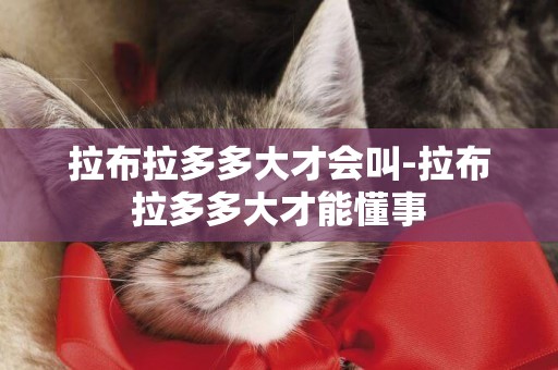 拉布拉多多大才會叫-拉布拉多多大才能懂事