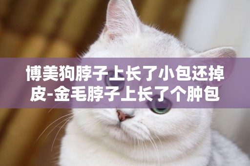 博美狗脖子上長了小包還掉皮-金毛脖子上長了個腫包