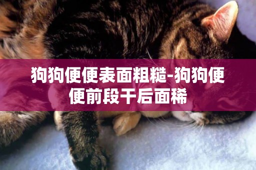 狗狗便便表面粗糙-狗狗便便前段干后面稀