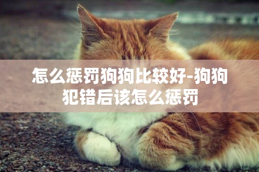 怎么懲罰狗狗比較好-狗狗犯錯后該怎么懲罰
