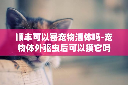 順豐可以寄寵物活體嗎-寵物體外驅蟲后可以摸它嗎