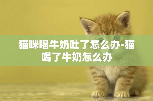 貓咪喝牛奶吐了怎么辦-貓喝了牛奶怎么辦