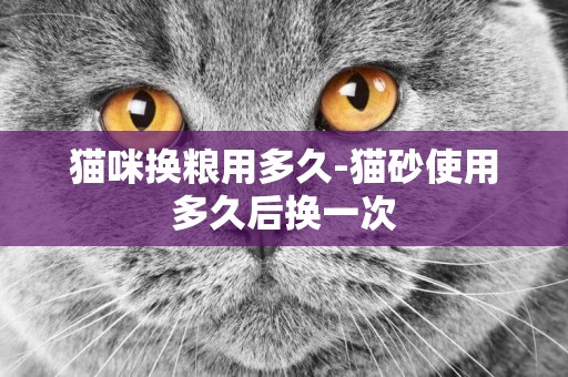 貓咪換糧用多久-貓砂使用多久后換一次