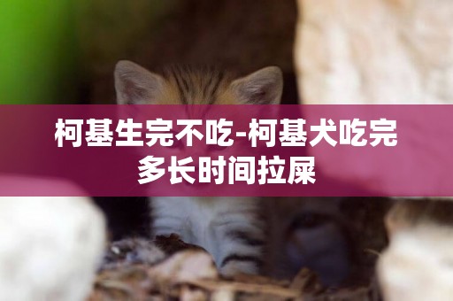 柯基生完不吃-柯基犬吃完多長時間拉屎