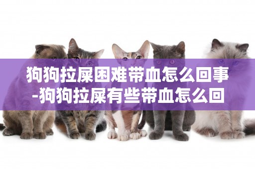 狗狗拉屎困難帶血怎么回事-狗狗拉屎有些帶血怎么回事