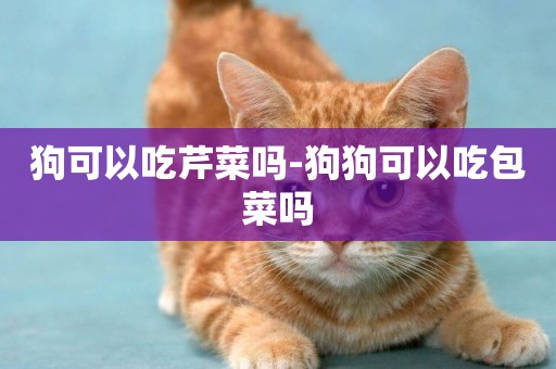 狗可以吃芹菜嗎-狗狗可以吃包菜嗎