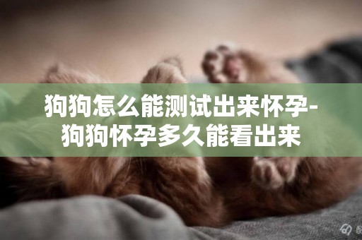 狗狗怎么能測試出來懷孕-狗狗懷孕多久能看出來