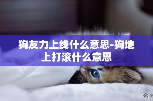 狗友力上線什么意思-狗地上打滾什么意思