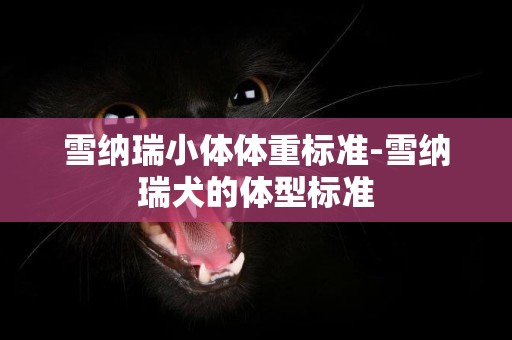 雪納瑞小體體重標準-雪納瑞犬的體型標準