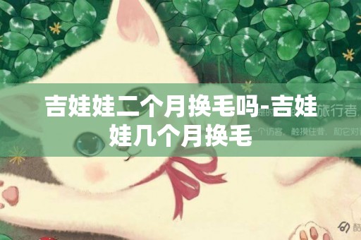 吉娃娃二個月換毛嗎-吉娃娃幾個月換毛
