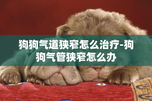 狗狗氣道狹窄怎么治療-狗狗氣管狹窄怎么辦