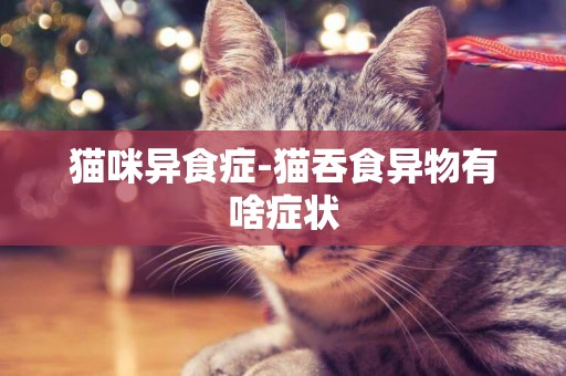貓咪異食癥-貓吞食異物有啥癥狀