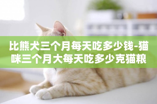 比熊犬三個月每天吃多少錢-貓咪三個月大每天吃多少克貓糧