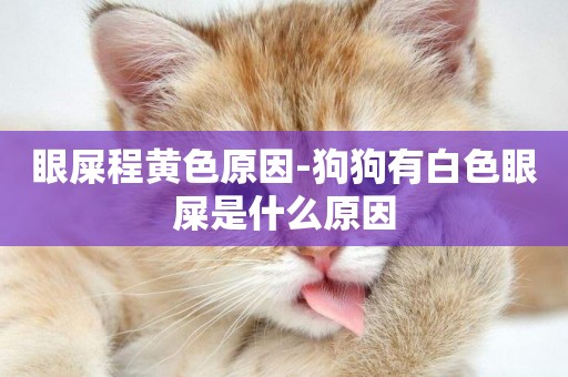 眼屎程黃色原因-狗狗有白色眼屎是什么原因