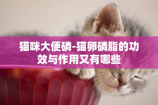 貓咪大便磷-貓卵磷脂的功效與作用又有哪些