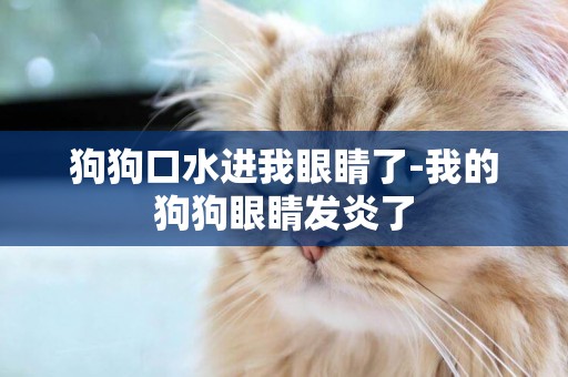 狗狗口水進我眼睛了-我的狗狗眼睛發炎了