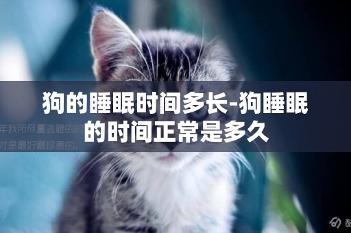 狗的睡眠時間多長-狗睡眠的時間正常是多久