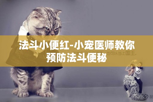 法斗小便紅-小寵醫師教你預防法斗便秘