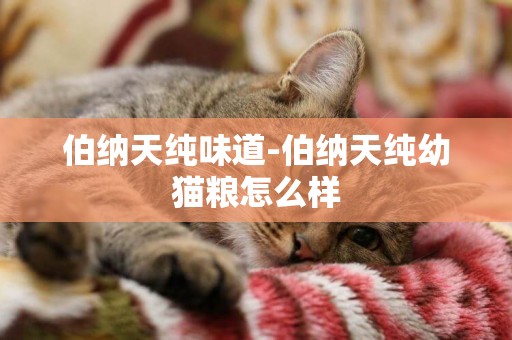 伯納天純味道-伯納天純幼貓糧怎么樣