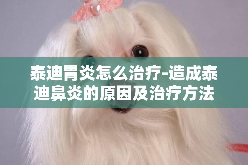 泰迪胃炎怎么治療-造成泰迪鼻炎的原因及治療方法