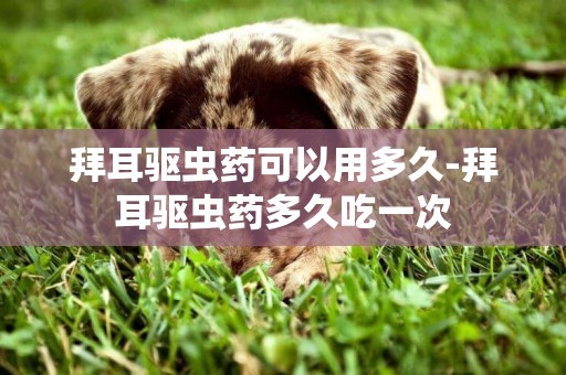 拜耳驅蟲藥可以用多久-拜耳驅蟲藥多久吃一次