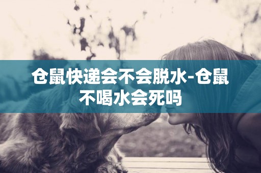 倉鼠快遞會不會脫水-倉鼠不喝水會死嗎