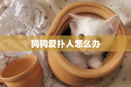 狗狗愛撲人怎么辦