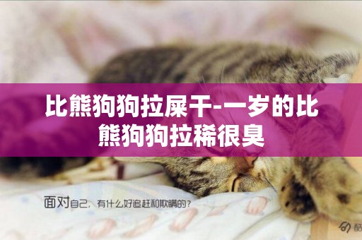 比熊狗狗拉屎干-一歲的比熊狗狗拉稀很臭