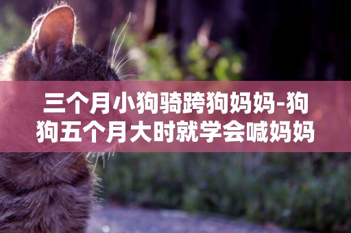 三個月小狗騎跨狗媽媽-狗狗五個月大時就學會喊媽媽