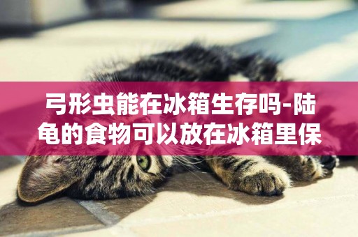 弓形蟲能在冰箱生存嗎-陸龜的食物可以放在冰箱里保存嗎
