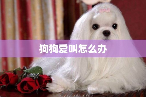 狗狗愛叫怎么辦