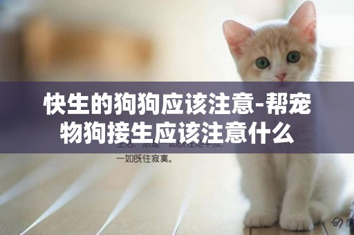 快生的狗狗應該注意-幫寵物狗接生應該注意什么
